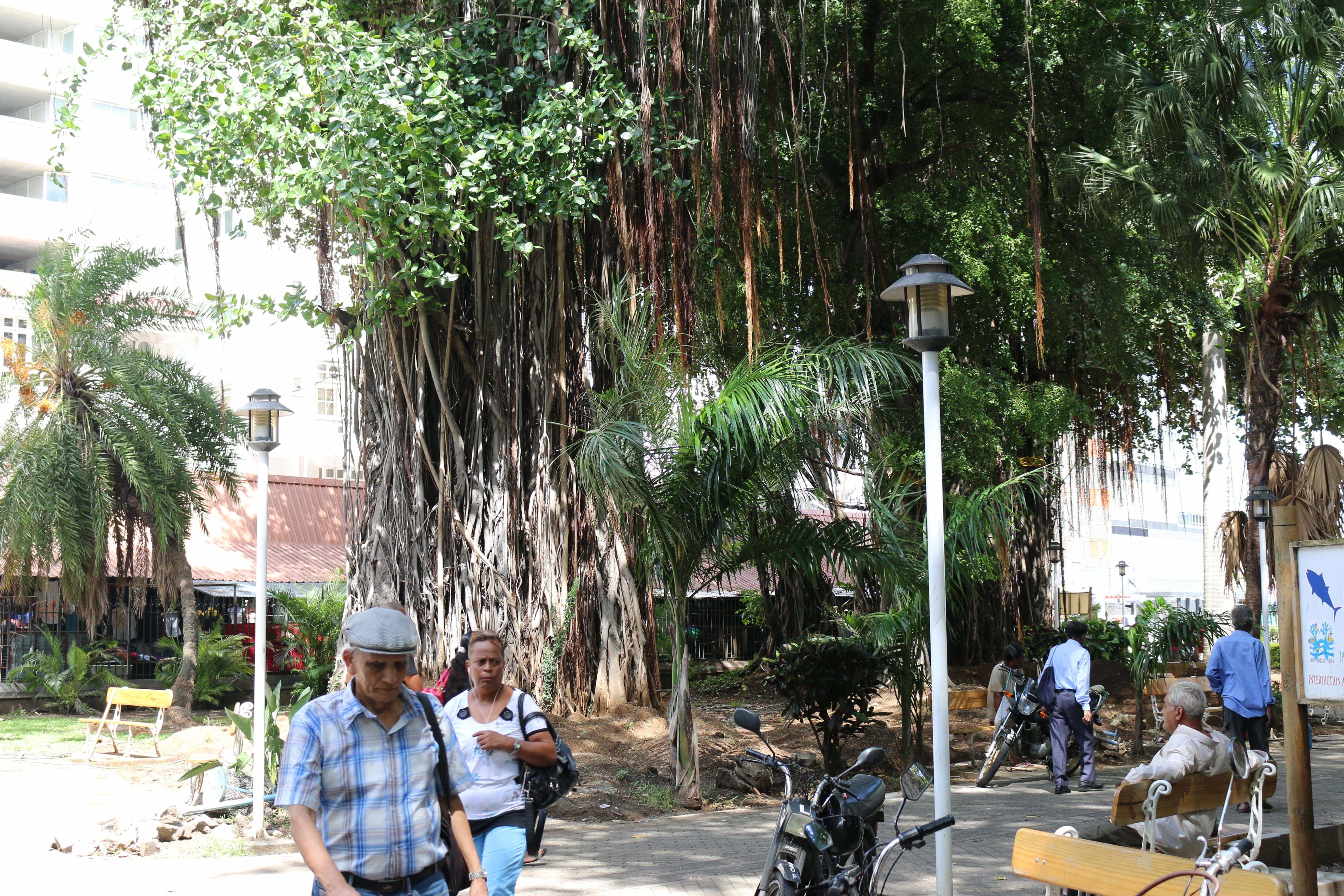 Company Garden Port Louis Mauritius
